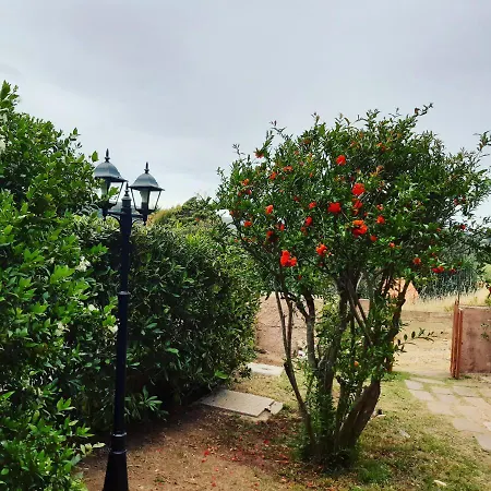 Viale Aquilone 16 Su Giudeu Tatil Evi Chia