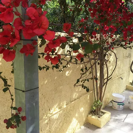 Holiday home Viale Aquilone 16 Su Giudeu